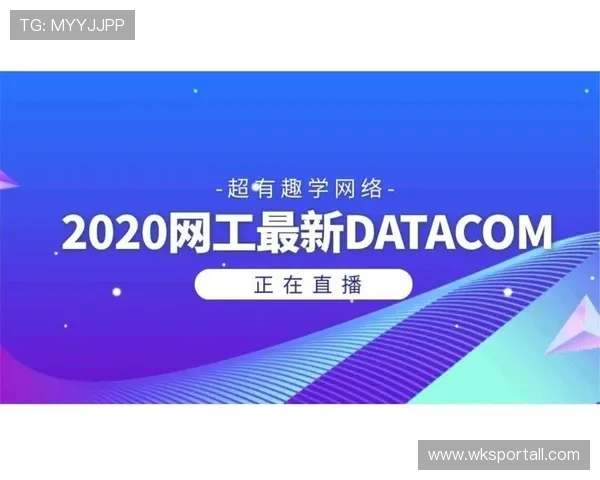 暂停时间限制是多少？规则解析与实际应用指南